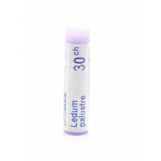 Boiron Ledum Palustre 30CH unidose