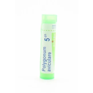 Boiron Polygonum Aviculare 5CH tube granules