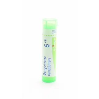 Boiron Sanguinaria Canadensis 5ch tube granules