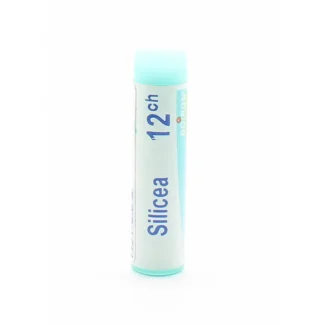 Boiron Silicea 12ch unidose