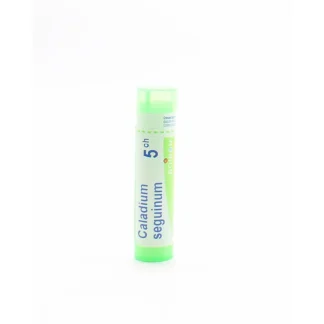 Boiron Caladium Seguinum 5CH tube granules