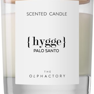 AmbientairThe Olphactory Palo Santo candela profumata hygge 200 g