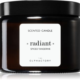AmbientairThe Olphactory Spiced Tangerine candela profumata Radiant