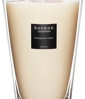 Baobab CollectionAll Seasons Madagascar Vanilla candela profumata