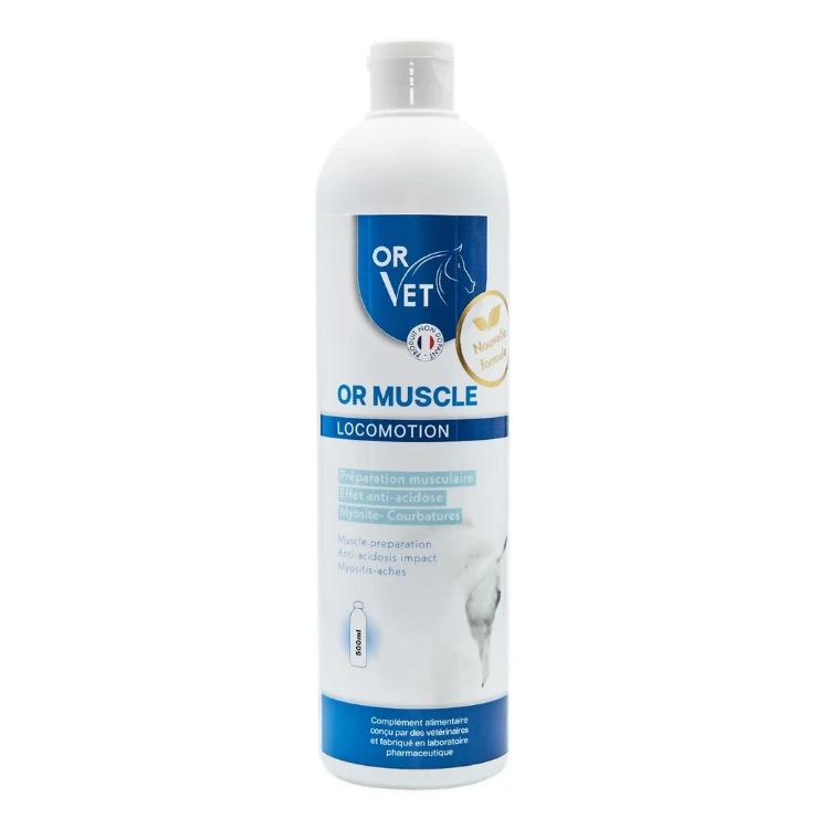 Complément OR VET Or Muscle