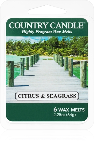 Country CandleCitrus & Seagrass cera per lampada aromatica 64 g