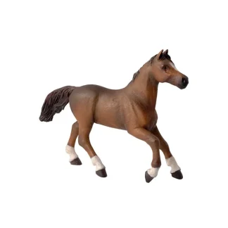 Jument Anglo-Arabe Papo