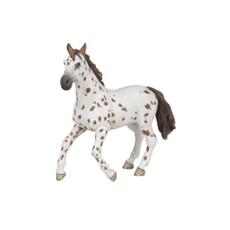 Jument Appaloosa Brune Papo