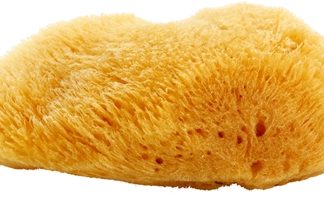 MagnumNatural spugna marina dei Caraibi