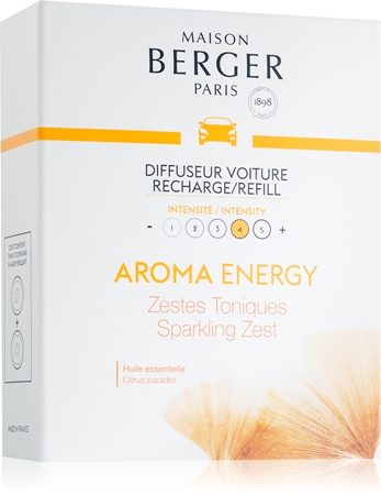 Maison Berger ParisAroma Energy deodorante per auto ricarica (Sparkling Zest) 2x17 g