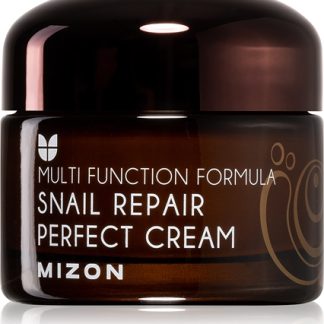 MizonMulti Function Formula Snail crema viso con bava di lumaca filtrata al 60%50 ml