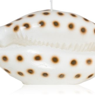 Rivièra MaisonShell candela decorativa 716 g