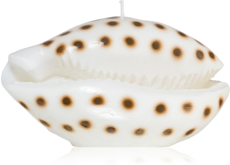 Rivièra MaisonShell candela decorativa 716 g