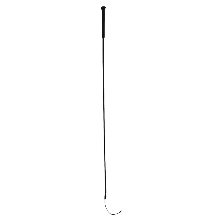 Stick De Dressage Whip & Go Poignée Longue En Plastique