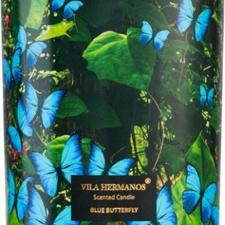 Vila HermanosJungletopia Blue Butterfly candela profumata