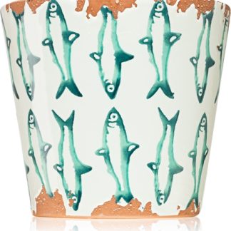 Wax DesignFish Jade Seaweed candela profumata I. 14x12,5 cm