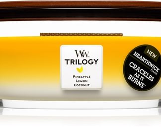 WoodwickTrilogy Fruits of Summer candela profumata con stoppino in legno (hearthwick) 453 g