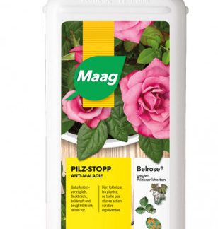 BELROSE gegen Pilzkrankheit liq 500 ml