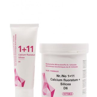 PHYTOMED SCHÜSSLER 1+11 Salbe D 6 75 g