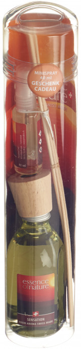 Essence of Nature Classic Room Aroma Sticks Sensation 250 ml x 2Stk