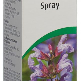 Vogel Halsschmerz-Spray Fl 30 ml