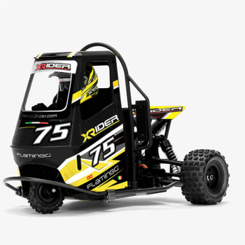 X-Rider Flamingo 1/8 RC Tricycle Black RTR